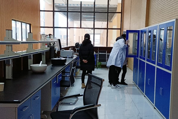 渝西國際新建農(nóng)貿(mào)市場采買蔬菜農(nóng)藥殘留檢測(cè)儀